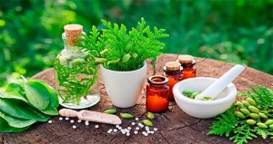 Naturopatía Paracelsiana