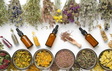 Terapia Floral de Alden